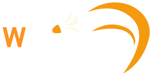 wertevisions logo 1